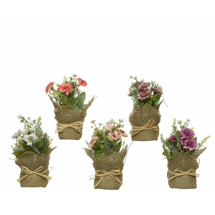 Everlands Mini maceta de margaritas / dalias