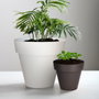 Plastiken Maceta Tes Gris antracita Ø140mm