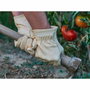 Juba Guante de piel flor de vacuno reforzado para jardinería, talla 10
