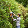 Black+Decker Cortasetos 500 W con cable de 55 cm