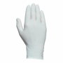 Juba Guante de látex con polvo desechable, Natural, talla 8, caja 100 uds