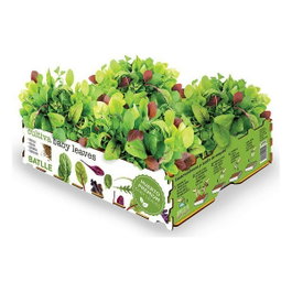 Batlle Caja de ensaladas baby leaves
