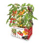 Batlle Caja de Tomates de Colores para Cultivar 3 Variedades Cherry (Rojos, Amarillos, Negros) - Kit Completo - 30x19.5x16.2 cm