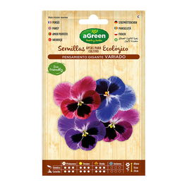 Agreen Sobre de Semillas Pensamiento Gigante Bianual para Macizos y Parterres