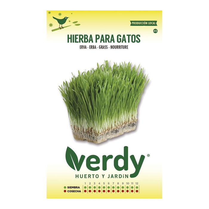 Verdy Sobre de Semillas Hierba para Gatos Verdy Sustancias Minerales Digestión Eliminación Bolas Pelo Verdy Sobre de Semillas Hierba para Gatos Verdy Sustancias Minerales Digestión Eliminación Bolas Pelo