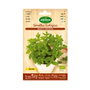 Agreen Sobre de Semillas Eco Menta 40-50cm para Infusión