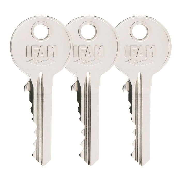 Ifam Cerrojo B5/50 para Puerta con 3 Llaves de Serreta, Cilindro 5 Pitones, Acero Acabado Latonado, Apto Izquierda/Derecha