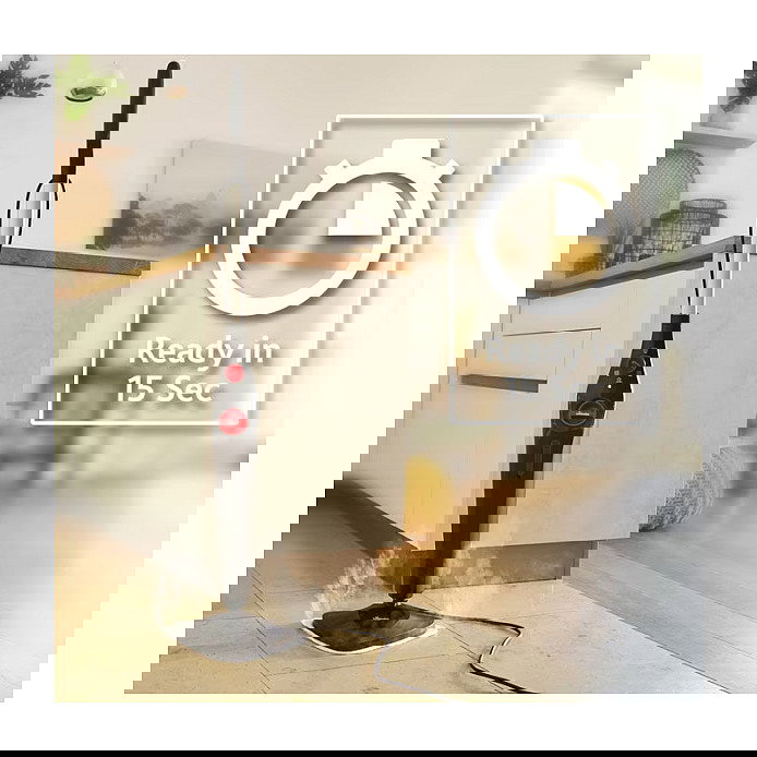 Vileda Steam Plus - Limpiador a Vapor Portátil, 1550 W, 0.4 L, 25 g/min Vapor Continuo, Negro, con Cepillo Triangular