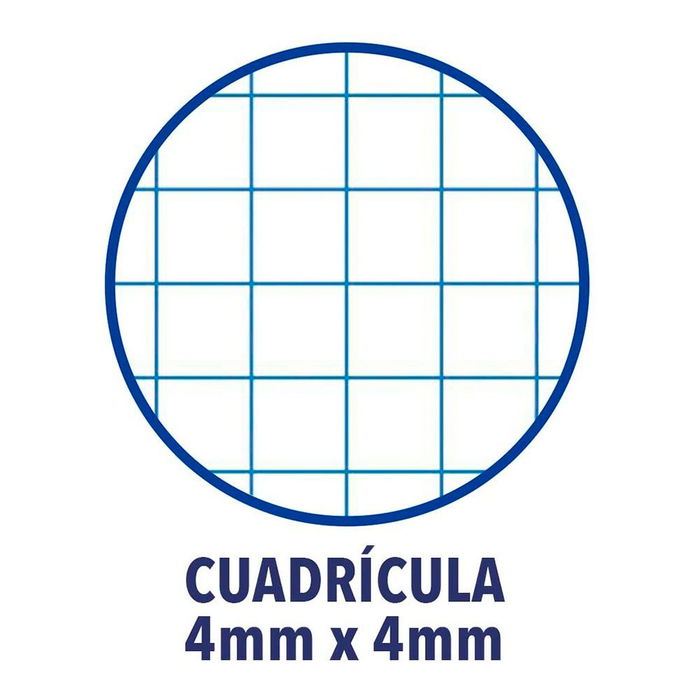 Enri Cuaderno Tapa Blanda Espiral DIN A5 Cuadriculado 4x4mm Colores Surtidos 15,5x21,5cm