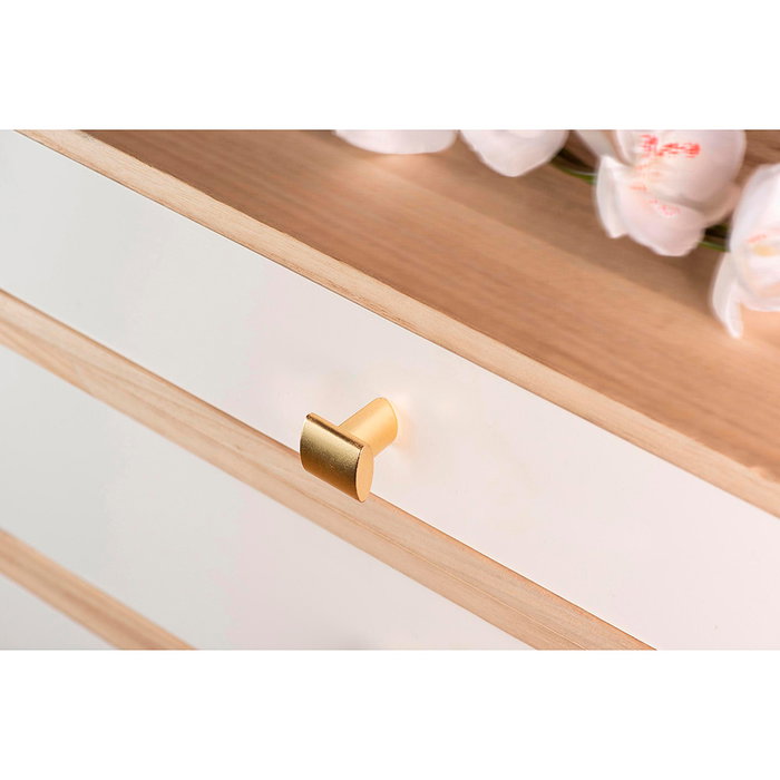 Blister con 2 pomos metálicos para mueble, con acabado latonado vintage mod. 896 20x20mm rei