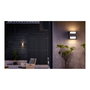 Philips Aplique LED Arbour 2x4,5W 800lm 4000K Antracita Pared