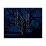 Lumineo Cortina LED Cascada 480 LEDs Luz Cálida 12 m