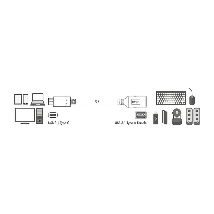 LogiLink Adaptador USB 3.1 Tipo C macho a USB 3.1 Tipo A hembra 0,15 m negro