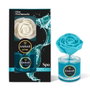 Ambar Ambientador Spa con Difusora 75ml de Larga Duración +60 Días para el Hogar