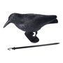 Edm Cuervo Ahuyenta Pájaros para Jardín y Tejados 19 x 39 cm Polipropileno Negro