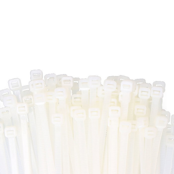 Edm Bridas de Nylon Natural 250 x 4,8 mm (100 uds)