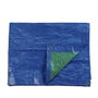 Edm Toldo de polietileno de doble cara azul/verde 4 x 6 m
