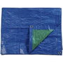 Edm Toldo de polietileno de doble cara azul/verde 5 x 8 m