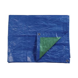 Edm Toldo de polietileno de doble cara azul/verde 10 x 15 m