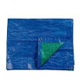 EDM Toldo de Polietileno Doble Cara Azul/Verde, 10 x 15 m, Densidad 90 g/m², con Ojales de Metal, para Camping y Jardín