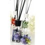 Magic Lights Difusor de aroma mikado lavanda 125 ml