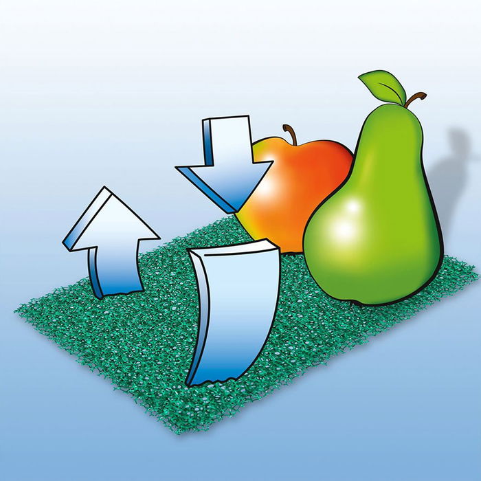 Wenko Esterilla Antimoho Transpirable para Proteger de Puntos de Presión, Mantiene Fruta y Verdura Fresca
