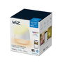 Wiz 929002690301 Lámpara de Mesa Squire Portable 9W RGB Conectada Wifi