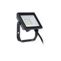 Philips 911401864184 Proyector 10W 950 lm 6500K IP65