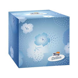 Foxy Caja Pañuelos Cubo 60uds 3 Capas