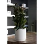 Plastiken Hidrojardinera con sistema de autorriego color antracita ø22 cm