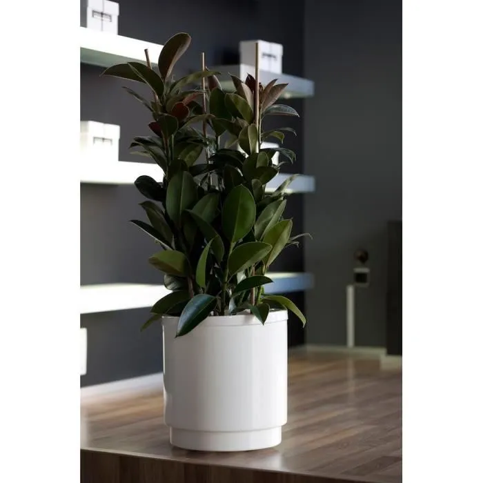 Plastiken Hidrojardinera Antracita Ø26cm