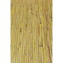 Faura Cañizo natural partido 1,5 x 5 m