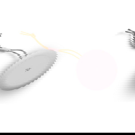 Bang & Olufsen Altavoz Bluetooth BeoSound A1 - 2nd Generation Rosa