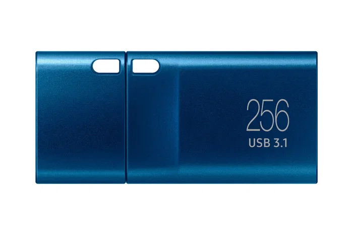 Samsung MUF-256DA/AM Unidad Flash USB 256 GB USB Tipo-C 3.2 Gen 1 (USB 3.1) Color Azul Mystic Blue - Pendrive