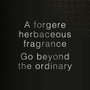 David Beckham Beyond Eau de Toilette 90ml Vaporizador