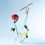 KENZO Flower by Kenzo Eau de Toilette 100 ml Vaporizador