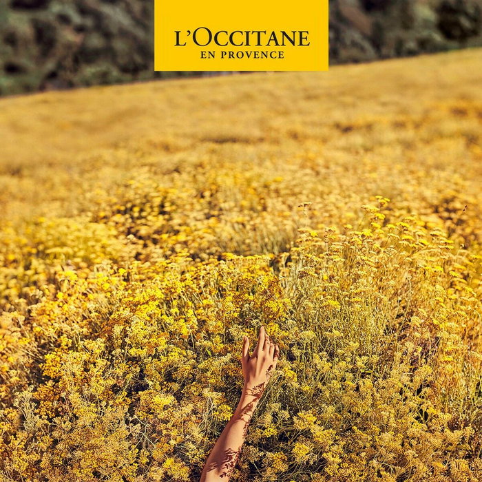 L'Occitane En Provence HOMME Desodorante Roll-On Sin Alcohol, Sin Sales de Aluminio, Protección 48h, Lavanda 50 ml