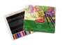 Derwent Academy Lápices de Colores de 24 Piezas en Caja Metálica