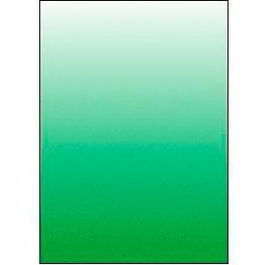 Displast Tapas Encuadernación A4 Polipropileno 450 micras Translúcido Verde Paquete 100 Unidades