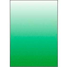 Displast Tapas Encuadernación A4 Polipropileno 450 micras Translúcido Verde Paquete 100 Unidades Displast Tapas Encuadernación A4 Polipropileno 450 micras Translúcido Verde Paquete 100 Unidades