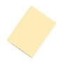 Dohe Subcarpeta de Cartulina Amarillo Suave A4 con Fastener 180gr - 50U