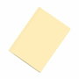 Dohe Subcarpeta de Cartulina Amarillo Suave A4 con Fastener 180gr - 50U
