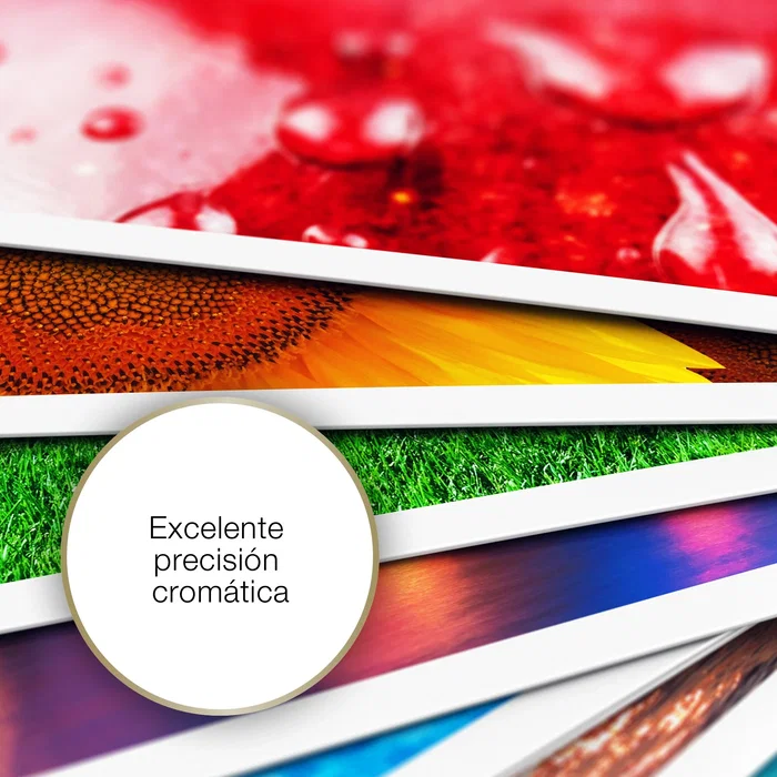 Epson Papel Mate de Alto Gramaje A4, 167g, 50 Hojas Epson Papel Mate de Alto Gramaje A4, 167g, 50 Hojas