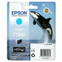 Epson T7602 Cartucho de Tinta Cian para SureColor SC-P600