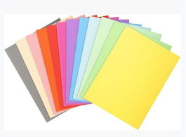 Exacompta Subcarpetas A4 Forever Colores Surtidos 220 gr - 100 Unidades