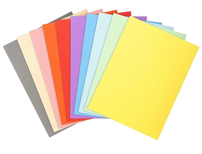 Exacompta Subcarpetas Forever Colores Surtidos A4 220g