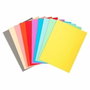 Exacompta Subcarpetas Forever Colores Surtidos A4 220g