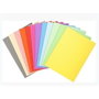 Exacompta Subcarpetas Forever Colores Surtidos A4 220g