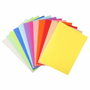 Exacompta Subcarpetas Forever Colores Surtidos A4 220g