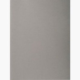 Exacompta Subcarpetas A4 Forever Color Gris 220 gr -100 Unidades-